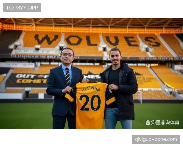 维蒂尼亚评价两极分化：战术角色与实际贡献是否匹配